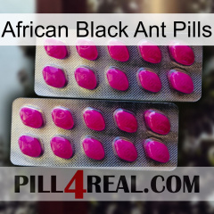 African Black Ant Pills 10